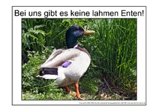 Lahme-Ente-1.pdf